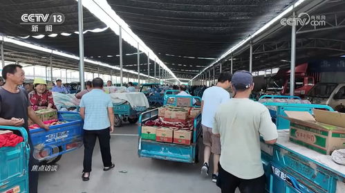 焦點(diǎn)訪談 穩(wěn)產(chǎn)保供 守好 菜籃子