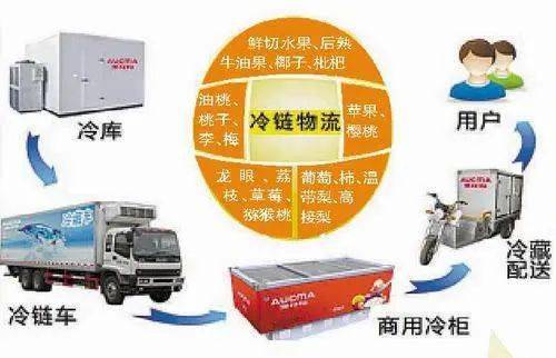 食品安全標準宣貫 食品安全國家標準 食品冷鏈物流衛生規范 gb 31605 2020