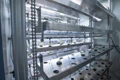 聚焦農(nóng)業(yè)科技創(chuàng)新 植物工廠種出 智慧菜