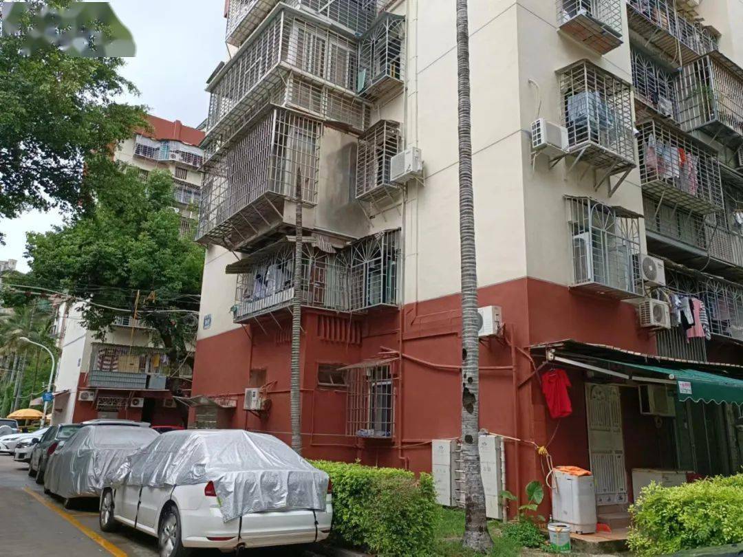 實踩:廈門島內(nèi)成交最火爆的老舊小區(qū)!_房源_小學_仙岳路