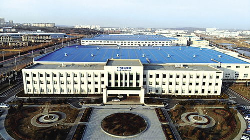 大連金普新區(qū) 手術(shù)刀 向內(nèi) 改出一片東北開放高地