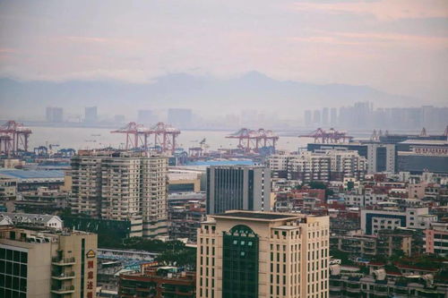 再冷下雨天,也擋不住廈門(mén)人拜拜 南普陀求平安 仙岳山求姻緣...春節(jié)祈福,廈門(mén)寺院哪家靈