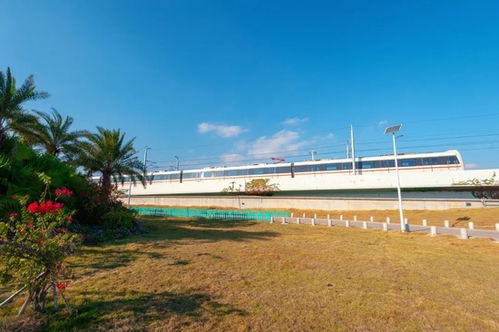 等一個(gè)人 陪我去廈門(mén)