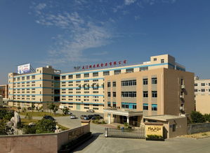 鴻圣資本回訪湖頭食品并召開上市說明會，攜手仙岳小學促發展